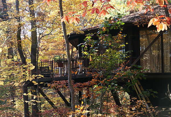 The Richardsons’ house in Duke Forest