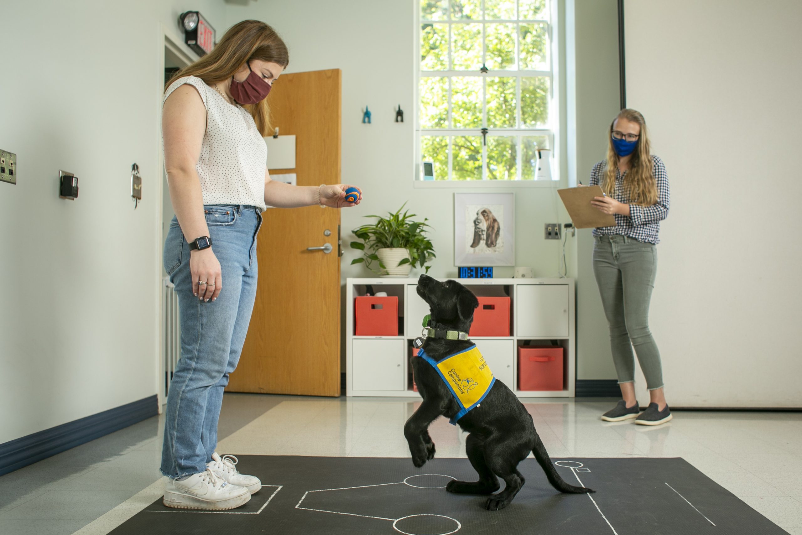 Doctoral students Hannah Salomons and  Morgan Ferrans conduct behavioral testing on sisters Gilda and Gloria in the Duke Puppy Kindergarten. Ferrans and Salomons are also testing the puppies’ heart rates with a monitor, as well as their adrenaline through saliva testing.